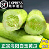 鮮級佳山東海陽(yáng)白玉黃瓜【順豐快遞】新鮮水果生吃白黃瓜當季脆嫩小黃瓜 5斤 曬單實(shí)拍圖