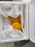 知鮮之鮮新鮮金耳菌【順豐空運(yùn)】云南特產(chǎn)精選刺身級(jí)別山珍 新鮮金耳菌（刺身級(jí)別） 500g 曬單實(shí)拍圖