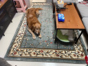 绅士狗客厅地毯加厚高密度简约卧室床边毯欧美式奶油风高档沙发茶几毯 蓝绿色 1.6*2.3米 高密度600v  重约15斤 实拍图