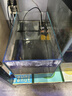 徹朗徹朗魚(yú)缸家用桌面客廳小型電視柜旁超白生態(tài)過(guò)濾深水烏龜缸養龜 【懸浮感底座|極簡(jiǎn)】17cm矮款 曬單實(shí)拍圖