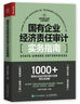 國有企業(yè)經(jīng)濟責任審計實(shí)務(wù)指南 曬單實(shí)拍圖