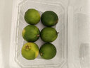 臻亦尚海南小青桔水果奶茶新鮮應季整箱批發(fā)檸檬果小青桔小青檸 嘗鮮價(jià)1斤裝 曬單實(shí)拍圖