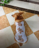 貓咪衣服夏季防掉毛薄款寵物背心狗狗幼小型犬柯基泰迪衣服透氣 【棕底小熊、夏日無袖背心】 M （適合3-6斤寵物） 曬單實(shí)拍圖