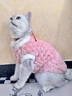 狗狗衣服秋冬款寵物泰迪中小型犬牽引環(huán)比熊四腳加厚馬甲可愛貓咪 粉紅色 S約適合2-3斤 曬單實拍圖
