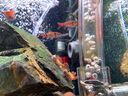 老漁匠戶(hù)外充電增氧氣泵釣魚(yú)專(zhuān)用小型便捷式魚(yú)缸充氧打氧機加氧制氧器 【升級氣量鋰電續航74H】雙孔氣餅套餐 曬單實(shí)拍圖