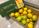 騎猴趕馬云南高原王子橙【褚系之作】禮盒送禮玉溪當季新鮮水果高山冰糖橙 10斤裝【花斑果 大小不一】普裝 曬單實(shí)拍圖