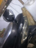 車主播電動車靠背摩托車改裝配件戰(zhàn)速雷霆王火迅鷹靠背電動車后靠墊 黑色靠背1 曬單實拍圖