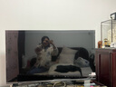 松下（Panasonic）電視機43/50/55/65/75吋NX680C系列4K超清全面屏雙頻WiFi智能語音平板電視開機無廣告彩電以舊換新 50英寸 TH-50NX680C 【服務(wù)套裝】上門安裝（ 曬單實拍圖