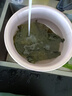 有機(jī)厚切海帶泡發(fā)鹽漬海帶干貨昆布煲湯涮火鍋清炒涼拌食材家商用 有機(jī)厚切海帶400g*1袋 曬單實(shí)拍圖