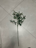 正想 仿真橄欖葉花藝綠植仿真花裝飾花假花家居桌面花瓶裝飾品 1支橄欖枝 45*90cm 曬單實(shí)拍圖