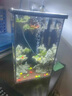 貝意品魚(yú)缸水妖精過(guò)濾器增氧吸便反氣舉小型氧氣泵內置過(guò)濾盒方形水妖精 3810水妖精 曬單實(shí)拍圖