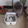 来旺兄弟 猫咪饮水机不插电无线智能宠物喂水器自动循环多重过滤喝水器 实拍图