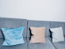 京东京造 棉花糖抱枕 水晶超柔沙发床头客厅办公室腰靠枕垫 蓝色45x45cm 实拍图