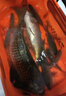 川澤魚桿鋼絲失手繩強(qiáng)拉力自動伸縮大物魚竿防丟防脫繩釣魚脫手鋼絲繩 20米鋼絲失手繩【收縮約200cm】 顏色隨機(jī) 回彈性好 曬單實拍圖