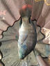 A30KY改底王過硫酸氫鉀復(fù)合鹽水產(chǎn)養(yǎng)殖魚蝦蟹塘分解淤泥調(diào)水凈水降氨氮 50%含量-500g/袋【水產(chǎn)專用緩釋型】 曬單實(shí)拍圖