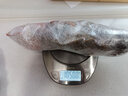 李享食豐【順豐空運(yùn)】大龍蝦鮮活大龍蝦波龍鮮活活凍水產(chǎn)活凍大龍蝦超大 活凍波龍2斤 曬單實(shí)拍圖
