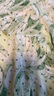 OVV2023春夏新款女裝飄逸靈動(dòng)植物印花真絲順紆縐半身裙單裙 淺綠花紋03 L 曬單實(shí)拍圖
