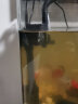 森森（SUNSUN）鱼缸过滤器三合一鱼缸水泵氧气泵小型过滤增氧循环泵 6W泵 流量增氧可调节（适合0.6米以下缸） 实拍图