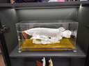 貝伊樂(lè )銀飾金龍魚(yú)足銀擺件客廳家居辦公室酒店別墅會(huì )所擺件工藝品喬遷創(chuàng  )意禮品送長(cháng)輩禮物 邊框尺寸40*20*16cm 曬單實(shí)拍圖