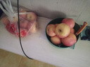 山西運城冰糖心蘋(píng)果  阿克蘇脆甜多汁無(wú)核化渣的丑蘋(píng)果 新鮮現貨 凈重9斤中果 曬單實(shí)拍圖