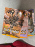 【系列自選】特種兵學(xué)校全套40冊含第八/九/十季新書(shū) 軍事科普青少年軍校校園安全男孩之書(shū)陽(yáng)剛勵志 9-10-12-15歲小學(xué)生三四五六年級課外閱讀書(shū)籍兒童讀物 特種兵學(xué)校第三季(9-12冊) 曬單實(shí)拍圖