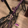 大行（DAHON）P18折叠自行车20英寸18速成人男女旅行运动公路车载单车KAC083 紫色 实拍图