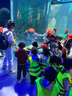佳護(hù) 兒童反光背心反光馬甲兒童反光衣小學(xué)生反光服安全防護(hù)馬甲 兒童反光馬甲 均碼 曬單實(shí)拍圖