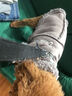 拉維佩特（LOVINGPET）寵物衣服小型犬 狗狗衣服小型犬泰迪比熊衣服保暖狗衣服桃皮絨 棕色 XL（建議8.5-12斤） 曬單實(shí)拍圖