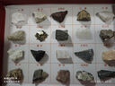 【全網(wǎng)低價(jià)】舜江 巖石礦物標(biāo)本 地理科普展示教具學(xué)具小學(xué)四年級(jí)科學(xué)自然課用觀察礦物石頭 20種礦物巖石標(biāo)本+放大鏡 曬單實(shí)拍圖