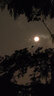 叮當(dāng)魚短節(jié)夜光炮臺支架臺釣架桿釣椅支架帶后掛高碳素超輕超硬 2.1米夜光迷你支架 曬單實(shí)拍圖