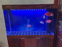 閩江大型魚(yú)缸客廳家用落地水族箱熱彎弧形新中式免換水底濾龍魚(yú)缸紫檀木長(cháng)121*寬36*高150（三門(mén)標準款/豎門(mén)） 曬單實(shí)拍圖