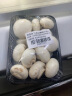 京百味 江苏白蘑菇 450g 简装 新鲜蔬菜 实拍图