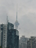 獅峰牌2025年新茶上市綠茶西湖龍井茶葉明前特級150g善字禮盒 曬單實拍圖