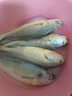 冰鮮部族大黃花魚(yú) 深海大黃魚(yú)海捕活凍鮮活大海魚(yú)鮮海鮮水產(chǎn) 【深海大黃花魚(yú)250g*4條】2斤裝 曬單實(shí)拍圖