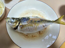 鮮可居東山島養殖巴浪魚(yú) 土豪藍眼鯵 鹽焗竹莢魚(yú)刺身 新鮮冰冷凍 凈重1KG/4-5條【冰鮮】 曬單實(shí)拍圖
