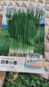 綠林花語(yǔ)四季小香蔥種子陽(yáng)臺盆栽庭院種植蔬菜籽細蔥小蔥種籽 曬單實(shí)拍圖