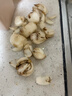 譯優(yōu)農(nóng)甘肅蘭州鮮百合新鮮現(xiàn)挖純食用生甜白合當季蔬菜非干貨特產(chǎn) 1斤裝【8年生中果共9顆】 曬單實拍圖