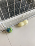養只寵物狗狗玩具狗咬繩套裝磨牙繩結玩具球金毛泰迪博美幼犬大小型犬玩具 7件套 無(wú)規格 曬單實(shí)拍圖
