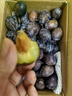 庾豐當季新鮮現(xiàn)摘西梅 新鮮水果整箱 孕婦藍蜜法蘭西梅 團購送禮 5斤裝（凈果4.5斤）甄選果王 顆顆甄選 產(chǎn)地直發(fā) 曬單實拍圖