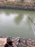 一帆精工 釣魚(yú)打水桶可折疊取水桶戶(hù)外帶繩便攜水桶活魚(yú)桶磯釣裝備 黑色圓桶帶蓋【直徑18cm】 曬單實(shí)拍圖