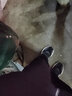 SCARPA思嘉帕莫吉托mojito戶(hù)外鞋中幫防水防滑休閑鞋輕量徒步鞋男 黑色 41 曬單實(shí)拍圖