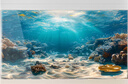 和上品3d高清陽(yáng)光海底魚(yú)缸背景貼紙5d定制裝飾壁紙水族箱不透光正面粘貼 HSP(YGPP)107 海疧羙憬寬120cm*高70cm 曬單實(shí)拍圖