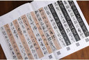孫過(guò)庭《書(shū)譜》實(shí)臨解密 【翁志飛著(zhù)  全視頻版 贈毛筆】 曬單實(shí)拍圖