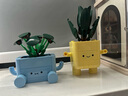 樂(lè )高（LEGO）積木拼裝10349 快樂(lè )盆栽男孩女孩兒童玩具生日禮物 曬單實(shí)拍圖