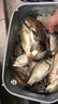 爆護(hù)全球餌料窩料釣魚(yú)黑坑野釣鯉魚(yú)鯽魚(yú)草魚(yú)野釣專用魚(yú)餌 爆護(hù)全球【兩瓶裝】 曬單實(shí)拍圖
