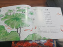 這就是中國【出游書單】民族城市博物館民俗古詩詞 端午節(jié)潑水節(jié)中國文化百科常識 兒童繪本3-6歲飲食地理歷史科普大百科 親親科圖書館趣味課外閱讀 兒童版 六歲開學(xué)季 這就是中國 第5輯 古詩詞（10冊） 曬單實拍圖
