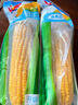 都樂水果甜玉米糯玉米棒開袋即食 200g 黃色甜玉米棒8根 曬單實拍圖
