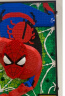 乐高（LEGO）积木拼装31209神奇蜘蛛侠18岁+男孩女孩玩具生日礼物 实拍图