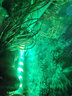 CRAZY PLANT魚缸燈led燈防水可調(diào)色造景射燈納米氣泡條潛水燈增氧照明一體 39cm 七彩漸變色款(適合40-50CM) 曬單實拍圖