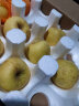 泽华果品山东烟台栖霞奶油黄金维纳斯牛奶苹果水果龙年送礼品物盒装净重 4.5斤单果180g+维纳斯10-12个果 实拍图
